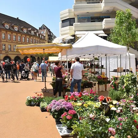 Ari's Domizil Naehe Bodensee & Bregenz-city *